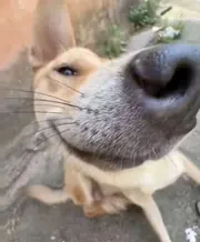 徐顿